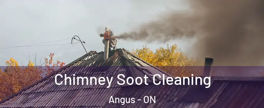 Chimney Soot Cleaning Angus - ON