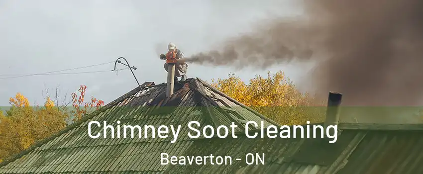  Chimney Soot Cleaning Beaverton - ON