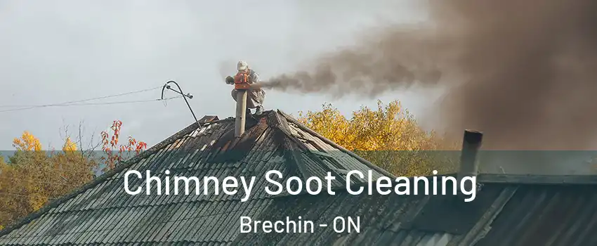  Chimney Soot Cleaning Brechin - ON