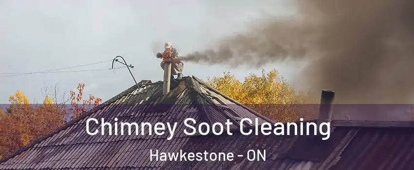  Chimney Soot Cleaning Hawkestone - ON