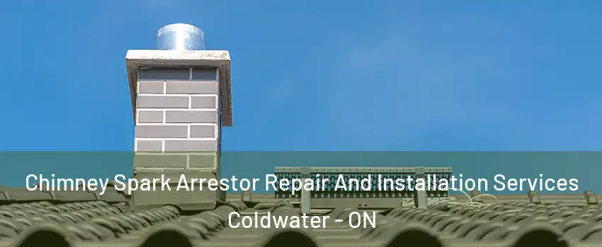  Chimney Spark Arrestor Repair And Installation Services Coldwater - ON