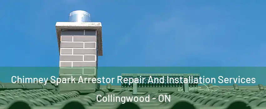  Chimney Spark Arrestor Repair And Installation Services Collingwood - ON
