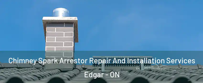  Chimney Spark Arrestor Repair And Installation Services Edgar - ON