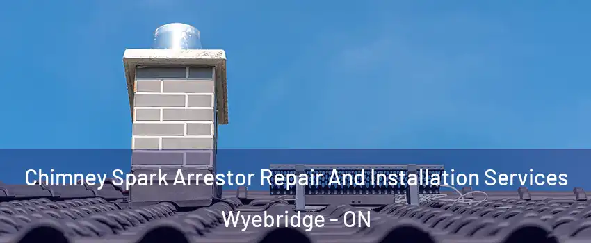  Chimney Spark Arrestor Repair And Installation Services Wyebridge - ON
