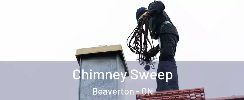 Chimney Sweep Beaverton - ON