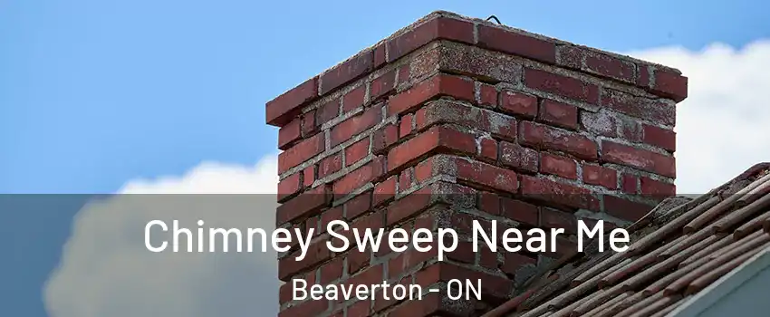  Chimney Sweep Near Me Beaverton - ON