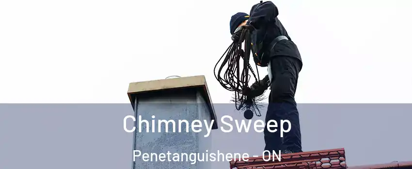  Chimney Sweep Penetanguishene - ON