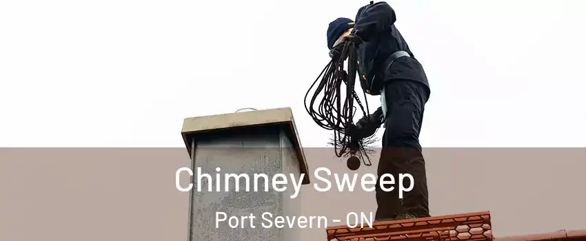  Chimney Sweep Port Severn - ON