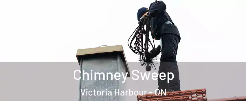  Chimney Sweep Victoria Harbour - ON