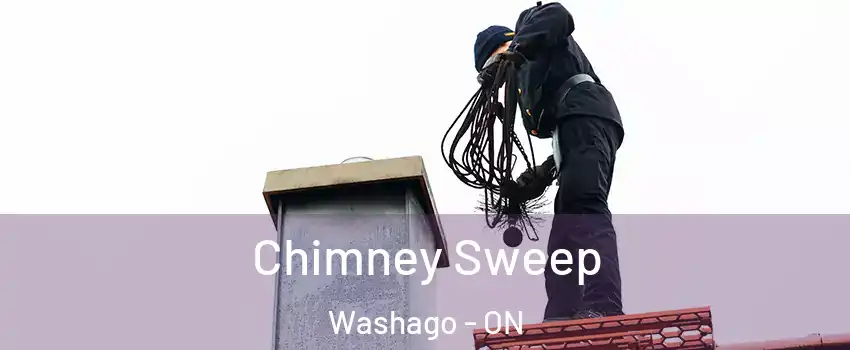  Chimney Sweep Washago - ON