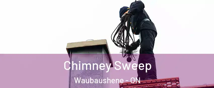  Chimney Sweep Waubaushene - ON