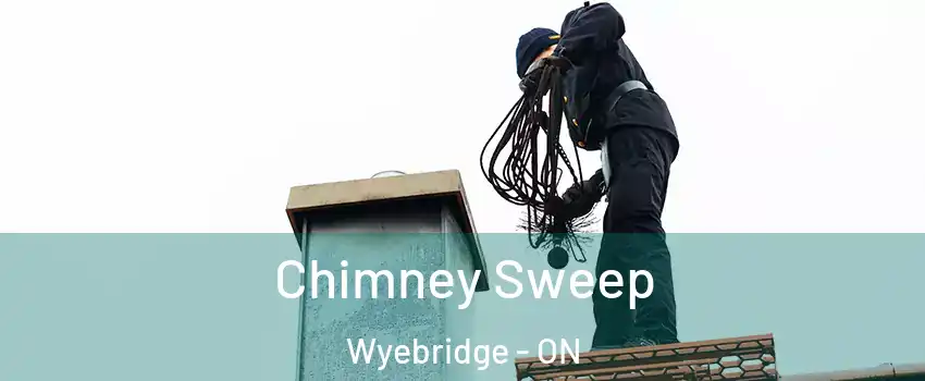 Chimney Sweep Wyebridge - ON