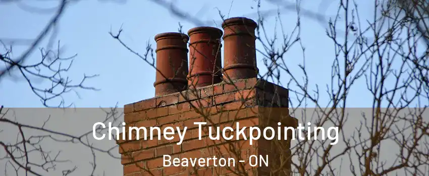 Chimney Tuckpointing Beaverton - ON