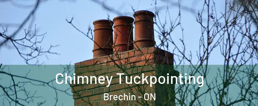  Chimney Tuckpointing Brechin - ON