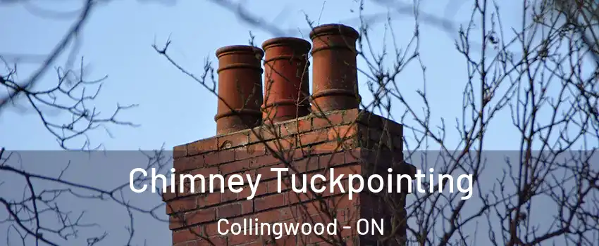  Chimney Tuckpointing Collingwood - ON