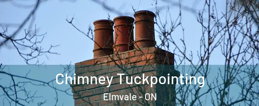 Chimney Tuckpointing Elmvale - ON