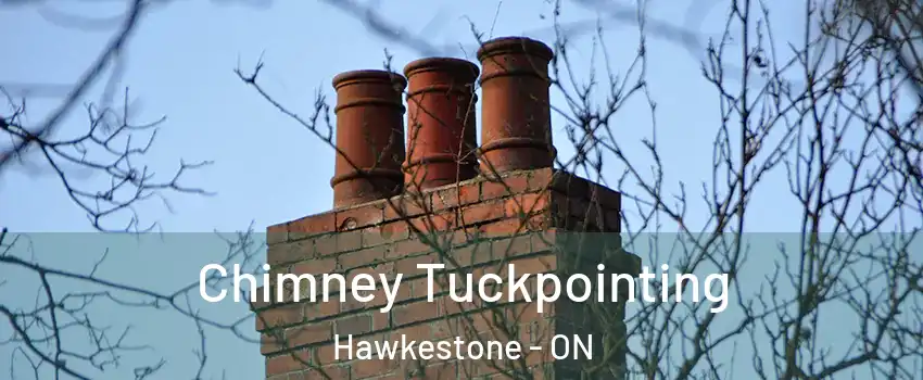  Chimney Tuckpointing Hawkestone - ON