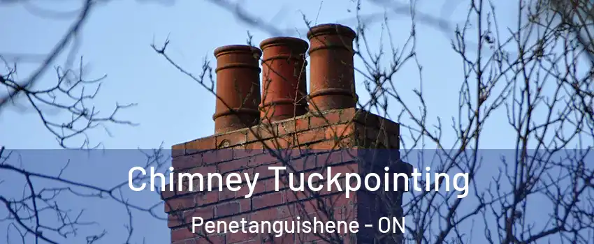  Chimney Tuckpointing Penetanguishene - ON