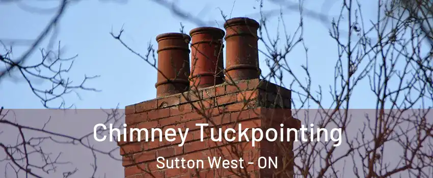 Chimney Tuckpointing Sutton West - ON