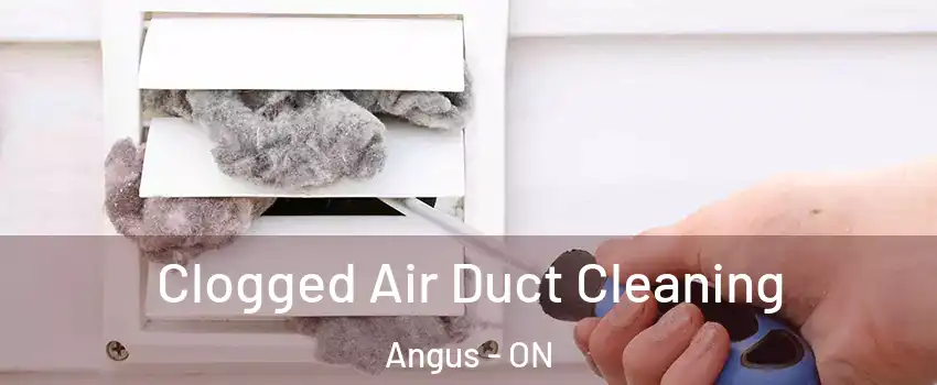 Clogged Air Duct Cleaning Angus - ON