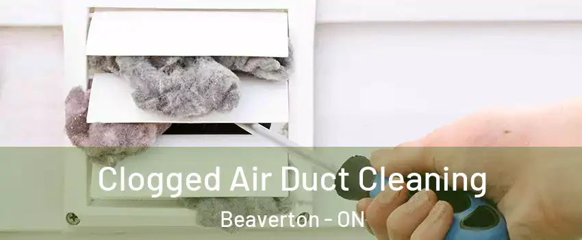  Clogged Air Duct Cleaning Beaverton - ON