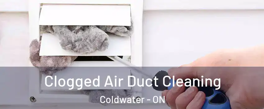  Clogged Air Duct Cleaning Coldwater - ON