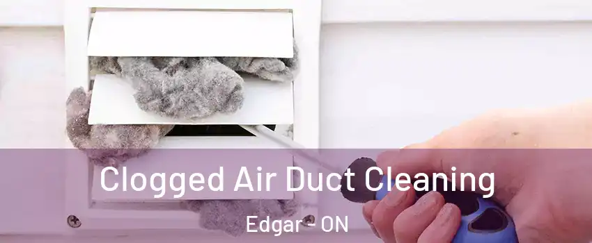  Clogged Air Duct Cleaning Edgar - ON