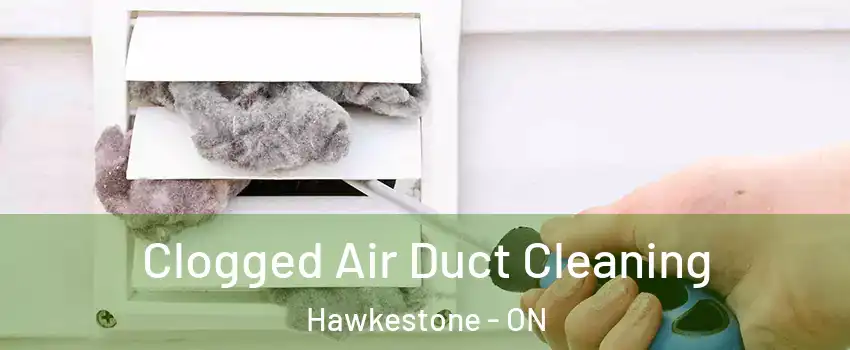  Clogged Air Duct Cleaning Hawkestone - ON