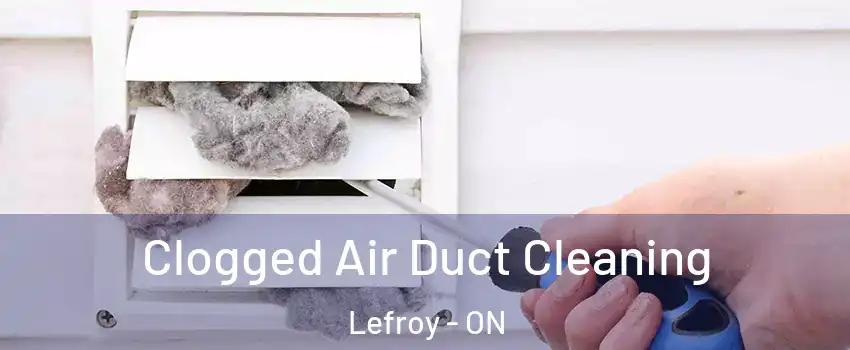  Clogged Air Duct Cleaning Lefroy - ON