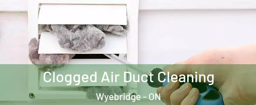  Clogged Air Duct Cleaning Wyebridge - ON