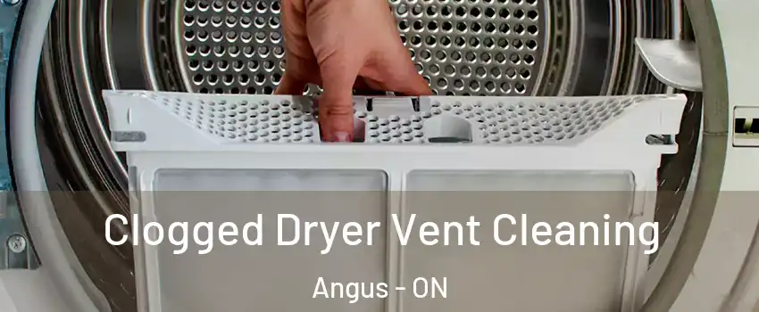  Clogged Dryer Vent Cleaning Angus - ON