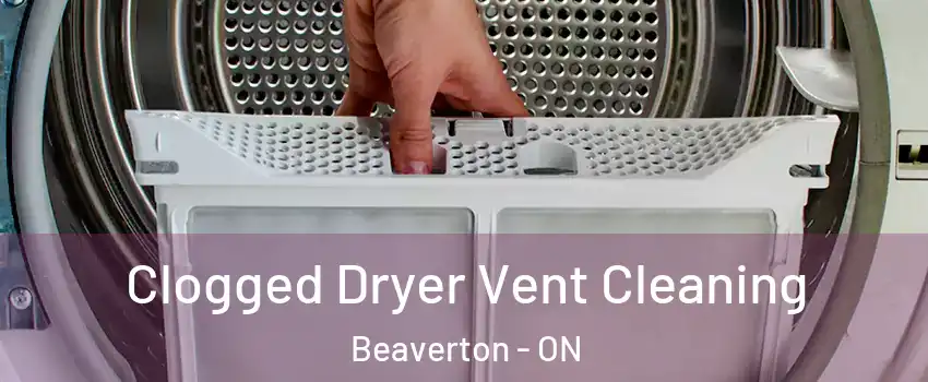  Clogged Dryer Vent Cleaning Beaverton - ON