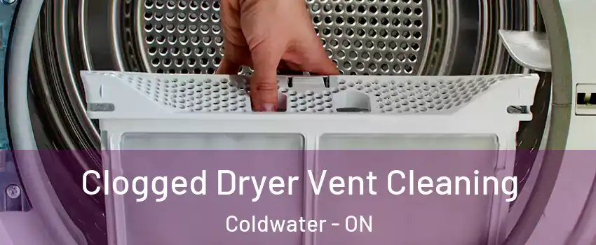  Clogged Dryer Vent Cleaning Coldwater - ON