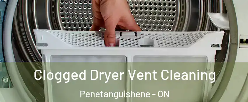 Clogged Dryer Vent Cleaning Penetanguishene - ON