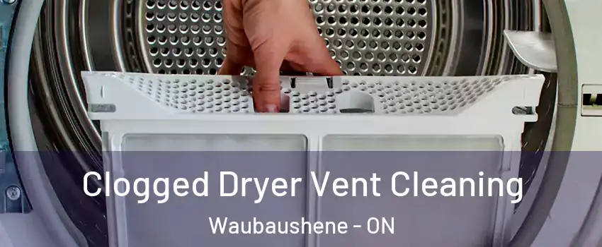 Clogged Dryer Vent Cleaning Waubaushene - ON