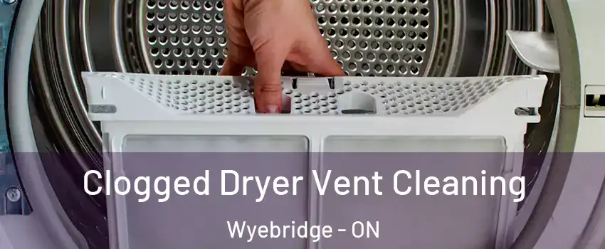  Clogged Dryer Vent Cleaning Wyebridge - ON