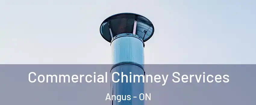  Commercial Chimney Services Angus - ON