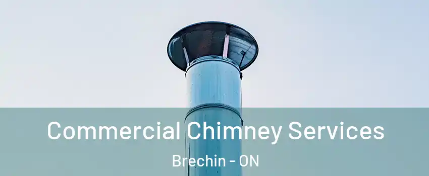  Commercial Chimney Services Brechin - ON
