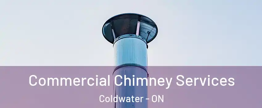  Commercial Chimney Services Coldwater - ON