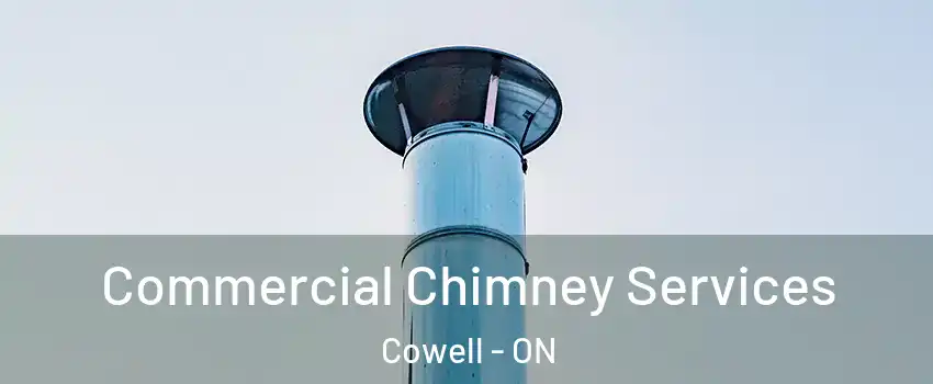 Commercial Chimney Services Cowell - ON