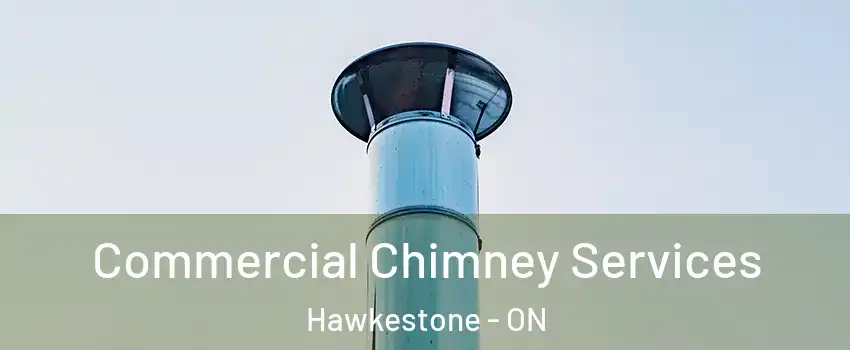 Commercial Chimney Services Hawkestone - ON