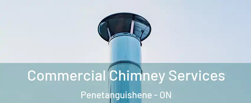  Commercial Chimney Services Penetanguishene - ON