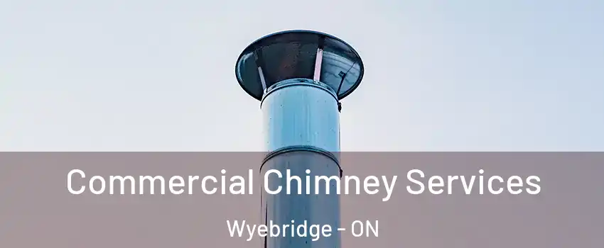  Commercial Chimney Services Wyebridge - ON