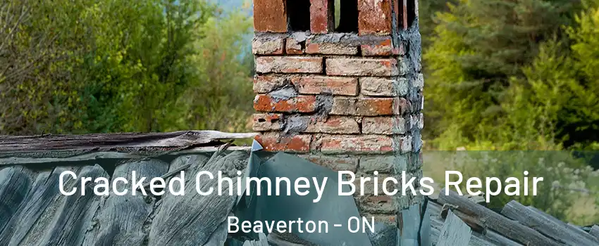  Cracked Chimney Bricks Repair Beaverton - ON