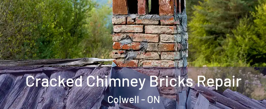  Cracked Chimney Bricks Repair Colwell - ON