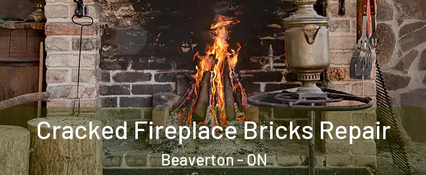  Cracked Fireplace Bricks Repair Beaverton - ON