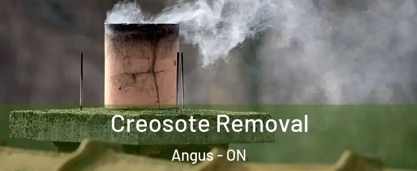  Creosote Removal Angus - ON