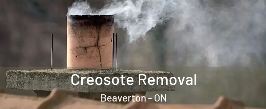  Creosote Removal Beaverton - ON