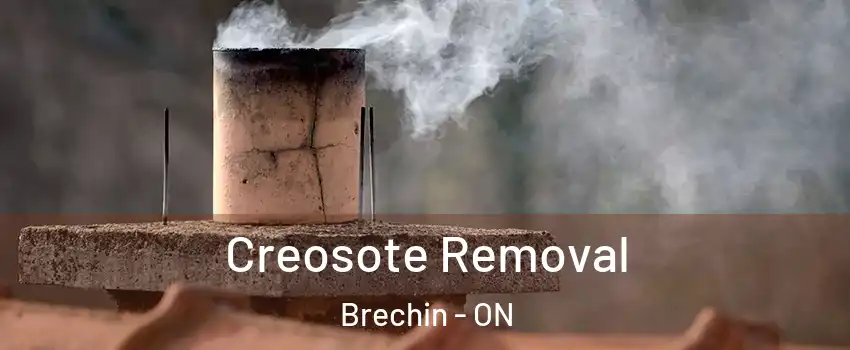 Creosote Removal Brechin - ON