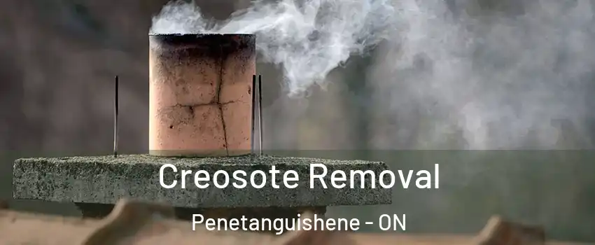  Creosote Removal Penetanguishene - ON